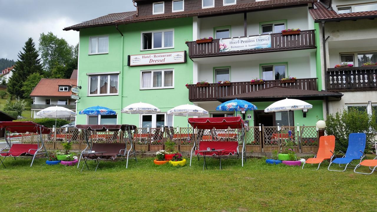 Hotel-Pension Dressel Warmensteinach Exteriér fotografie